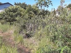 Terreno para Venda em Rio das Ostras - 4