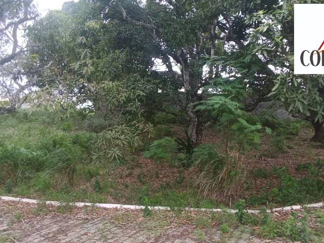 Venda em Mar do Norte - Rio das Ostras