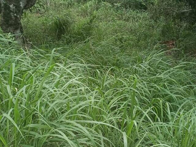 Área para Venda em Rio das Ostras - 5