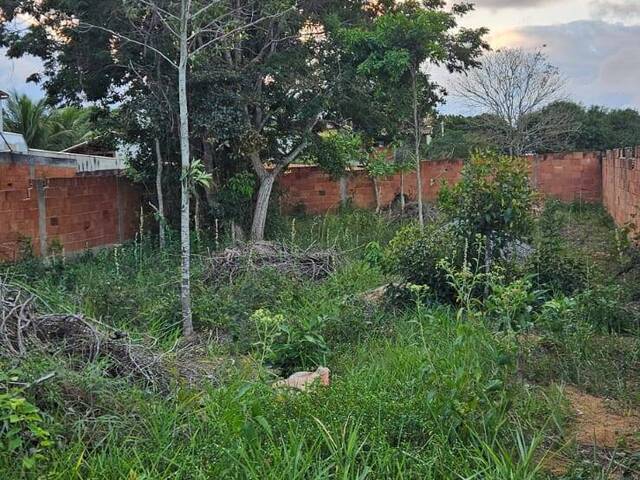 Terreno para Venda em Rio das Ostras - 4