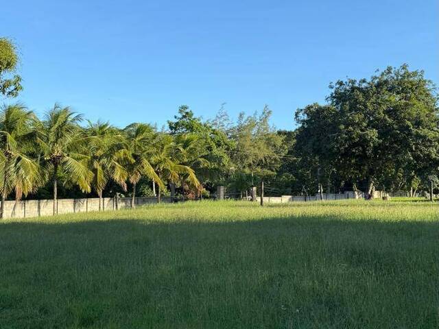 #429 - Haras para Venda em Rio das Ostras - RJ - 1