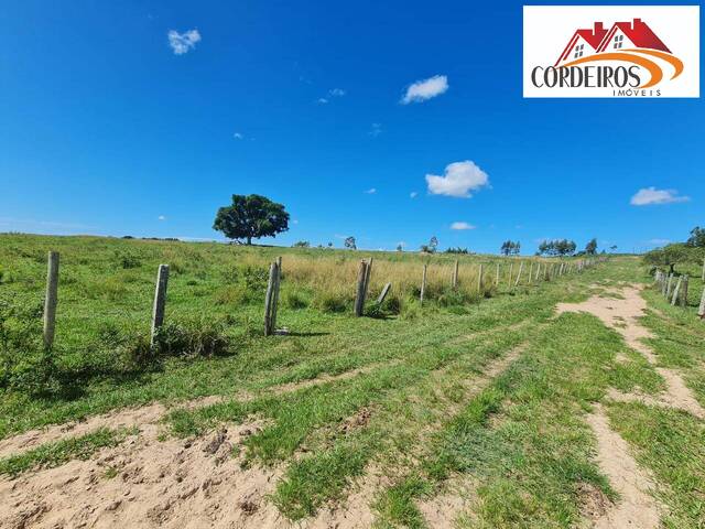 Fazenda para Venda em Araruama - 4