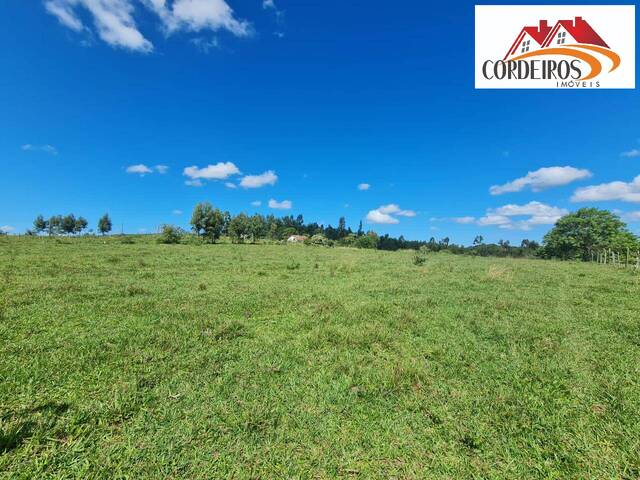 #451 - Fazenda para Venda em Araruama - RJ - 3