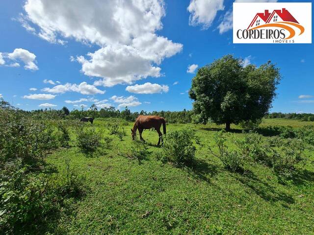 #451 - Fazenda para Venda em Araruama - RJ - 1