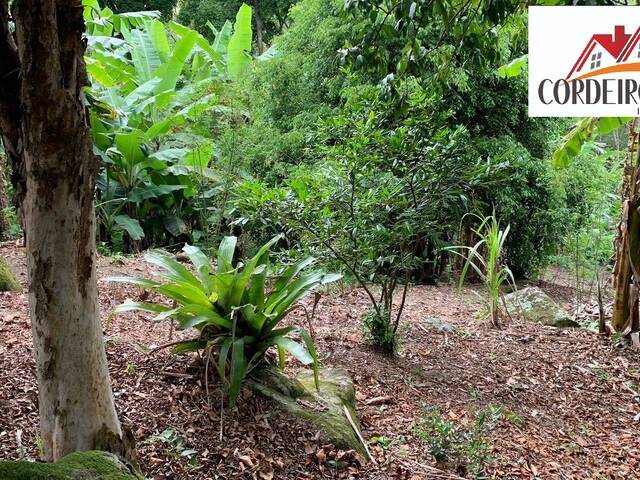 Sítio para Venda em Macaé - 3