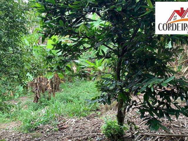 Sítio para Venda em Macaé - 4